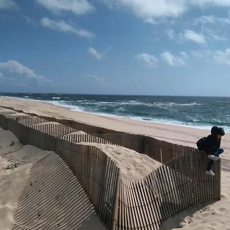 With Ocean View