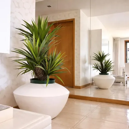 With Ocean View Appartement